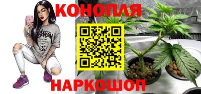 соль ск Ачхой-Мартан