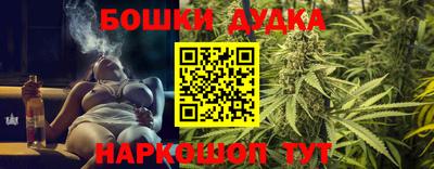 спиды Аша