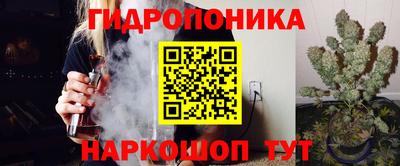 соль ск Ачхой-Мартан