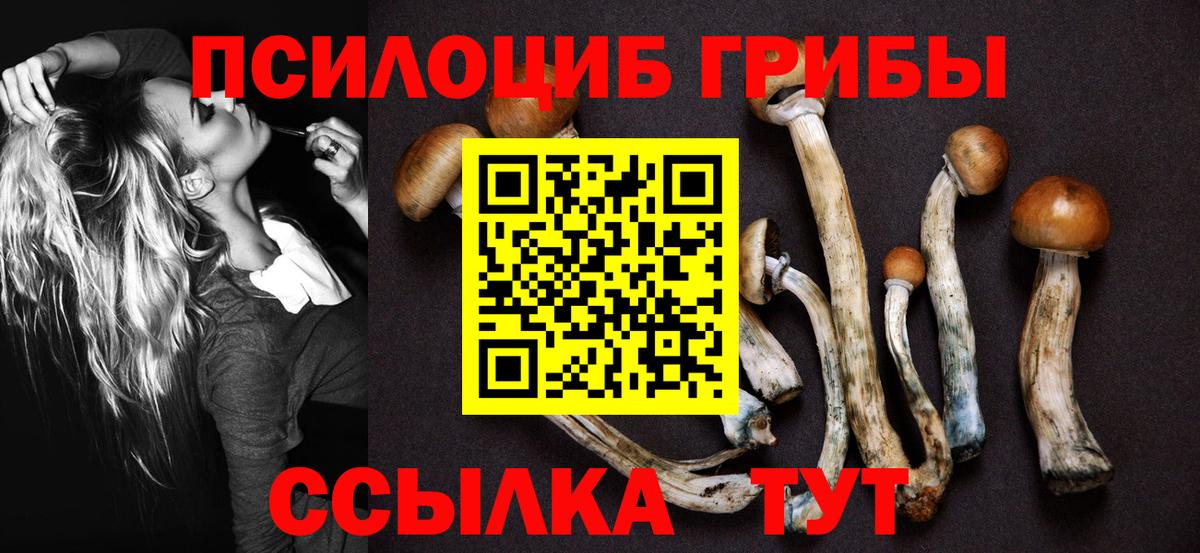 Галлюциногенные грибы MAGIC MUSHROOMS  купить наркотики цена  Псилоцибиновые грибы прущие грибы  Батайск  Вход с VPN 